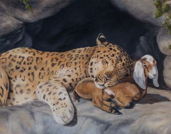 leopard kid.jpg