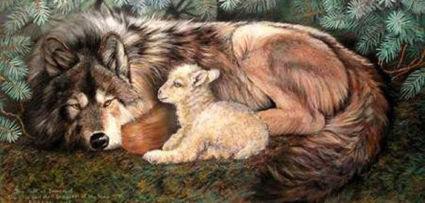 wolf lamb.jpg